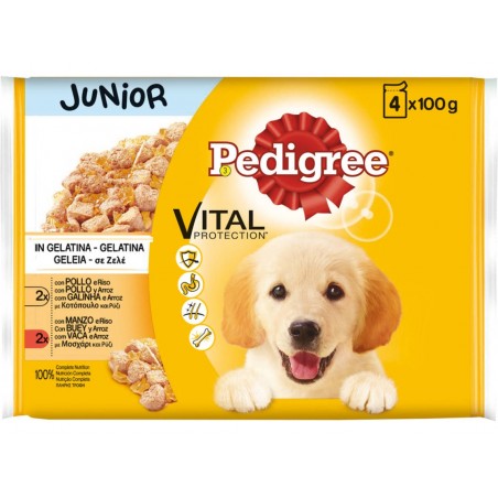 Comida Húmida Para Cão Pedigree Geleia Júnior 4x100g