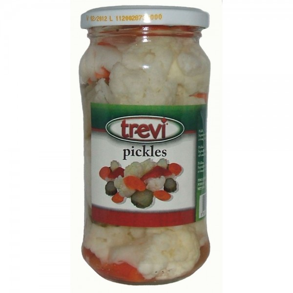 TREVI PICKLES 360G