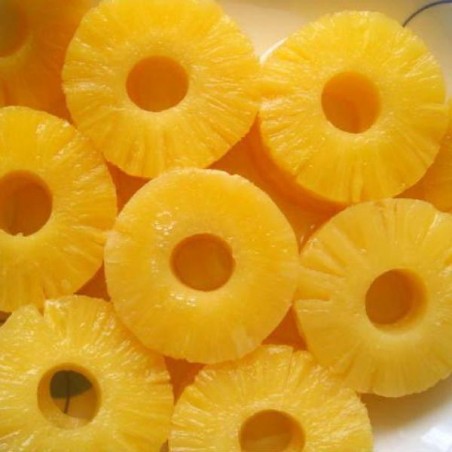 NORTE ANANAS EM RODELAS 430G